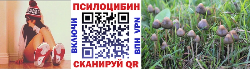 Галлюциногенные грибы мухоморы Купить где Дербент